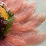 ひさご寿し - ヤマトゴイ