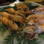 白海老（奥）鬼海老（手前）の刺身