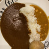 もうやんカレー しんばし