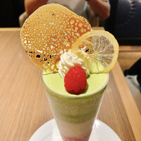 ダルマット 六本木ヒルズ店 - 