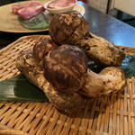 SATOブリアン - 長野県産松茸