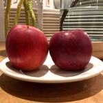 スガハラ - 内観（林檎）