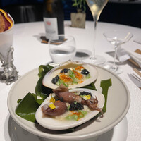 レフェルヴェソンス - 