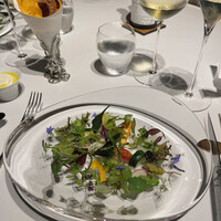 レフェルヴェソンス - 