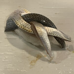 鮨 波づき - 小肌