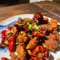 雪梅花 菜根譚 - 