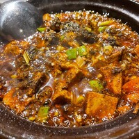 雪梅花 菜根譚 - 