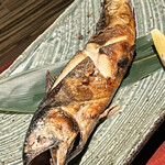 産直さばと青魚 伏見あおい - 