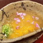 馳走 啐啄一十  - ③蝦夷馬糞雲丹(北海道根室産)、羅臼昆布出汁ジュレ掛け、紫蘇の花載せ
      産卵期は夏～秋、旬は初夏～夏。
      濃厚な甘みだが雑味は全く感じず
      羅臼昆布出汁ジュレは主張のある多重な旨みが特徴なコクのある味わい