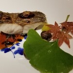 馳走 啐啄一十  - ⑮黒鯥(静岡県駿河湾産、サスエ前田魚店)のふっくら炭火焼き、炭火炙り銀杏&炭火炙り零余子
      産卵期は春、旬は秋～冬
      これまでは暴力的な脂のりを揚げ焼きにして更に脂を活性化させて提供されてました