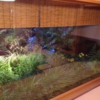 俵屋旅館 - 