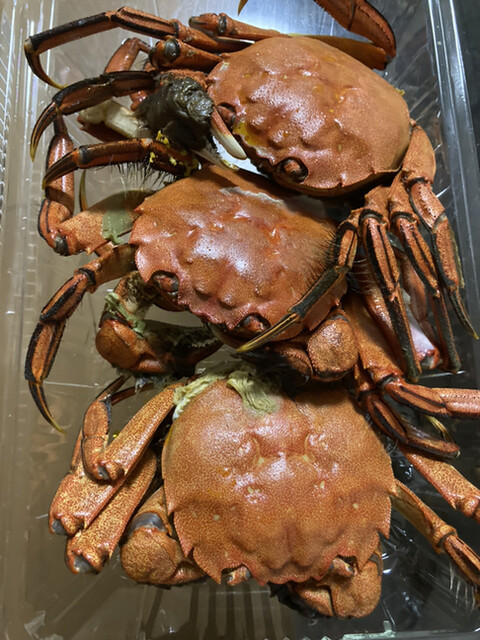口コミ一覧 林屋 那珂川町その他 魚介料理 海鮮料理 食べログ