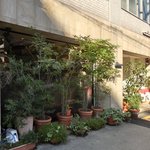 キノシタ - 【'12/11/25撮影】外観の風景です