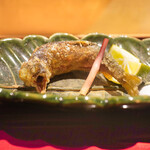 銀座 しのはら - 岐阜子持ち鮎素揚げ