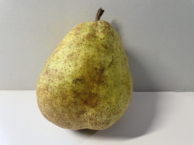 鶴岡産直組合 百万石の里 しゃきっと - 鶴岡（その他）の写真