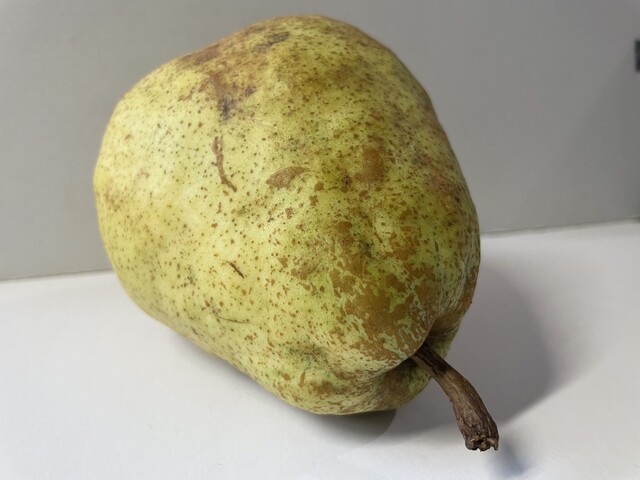 鶴岡産直組合 百万石の里 しゃきっと - 鶴岡（その他）の写真