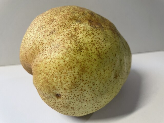 鶴岡産直組合 百万石の里 しゃきっと - 鶴岡（その他）の写真