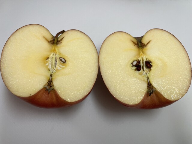 鶴岡産直組合 百万石の里 しゃきっと - 鶴岡（その他）の写真