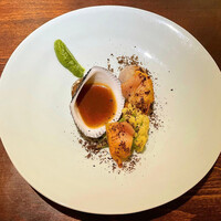 セルサルサーレ - 