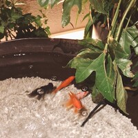 jinen. - エントランス