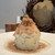 おかしやうっちー - 料理写真:栗のショートケーキ