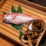 のどぐろ専門 銀座中俣 はなれ - 本日の食材♪