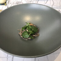 クイントカント - 