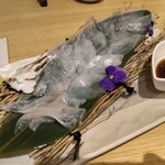 烏賊 鮨ダイニング 鮮助 - ・活きイカ刺し(小)
      これこれ～！相変わらず美味いな～｡:+((*´艸`))+:｡
      生姜醤油がイカの甘さを引き立てて最高です。
      多分今日のはアオリイカだと思います。