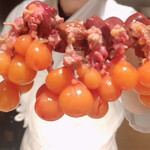 鳥匠 いし井 - ちょうちん、すごい！