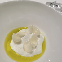 カンテサンス - 