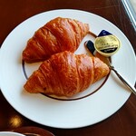 メープル - 