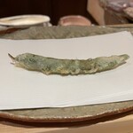 ぬま田 - しまささいも