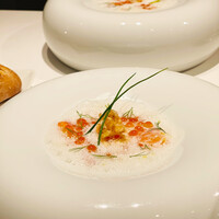 ジョンティ アッシュ - 