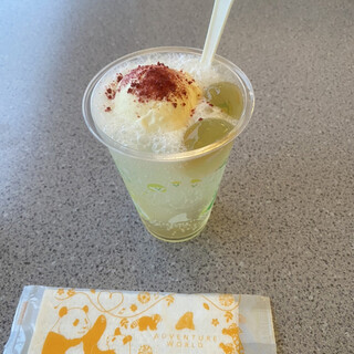 スカイアドベンチャー_0