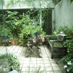 フレッシュクリーム - 中庭