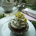 フレッシュクリーム - 