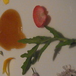 ランベリー ナオト キシモト - お花ですよね