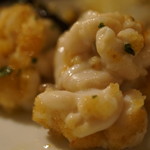 クロッキオ - でかい！