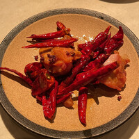 CINA New Modern Chinese - 