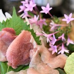 とん唐てん - 一黒軍鶏刺身