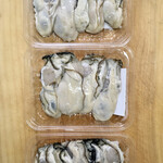 KINOKUNIYA - 三陸海岸で養殖された牡蠣