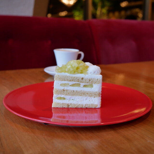 Garden Lounge photo 5