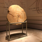 Chinese Ryouri Tori - 入口的装饰