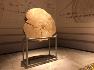 Chinese Ryouri Tori - 入口的装饰