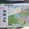 国営ひたち海浜公園