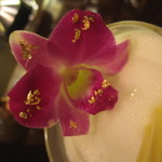 バー クラスター - 金箔キラリン♪