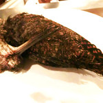 deco - ベキャスたん