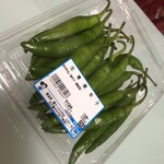 나리타 다이몬지점