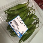 나리타 다이몬지점
