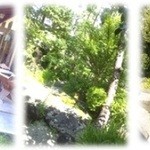 旅館 くらしき - 